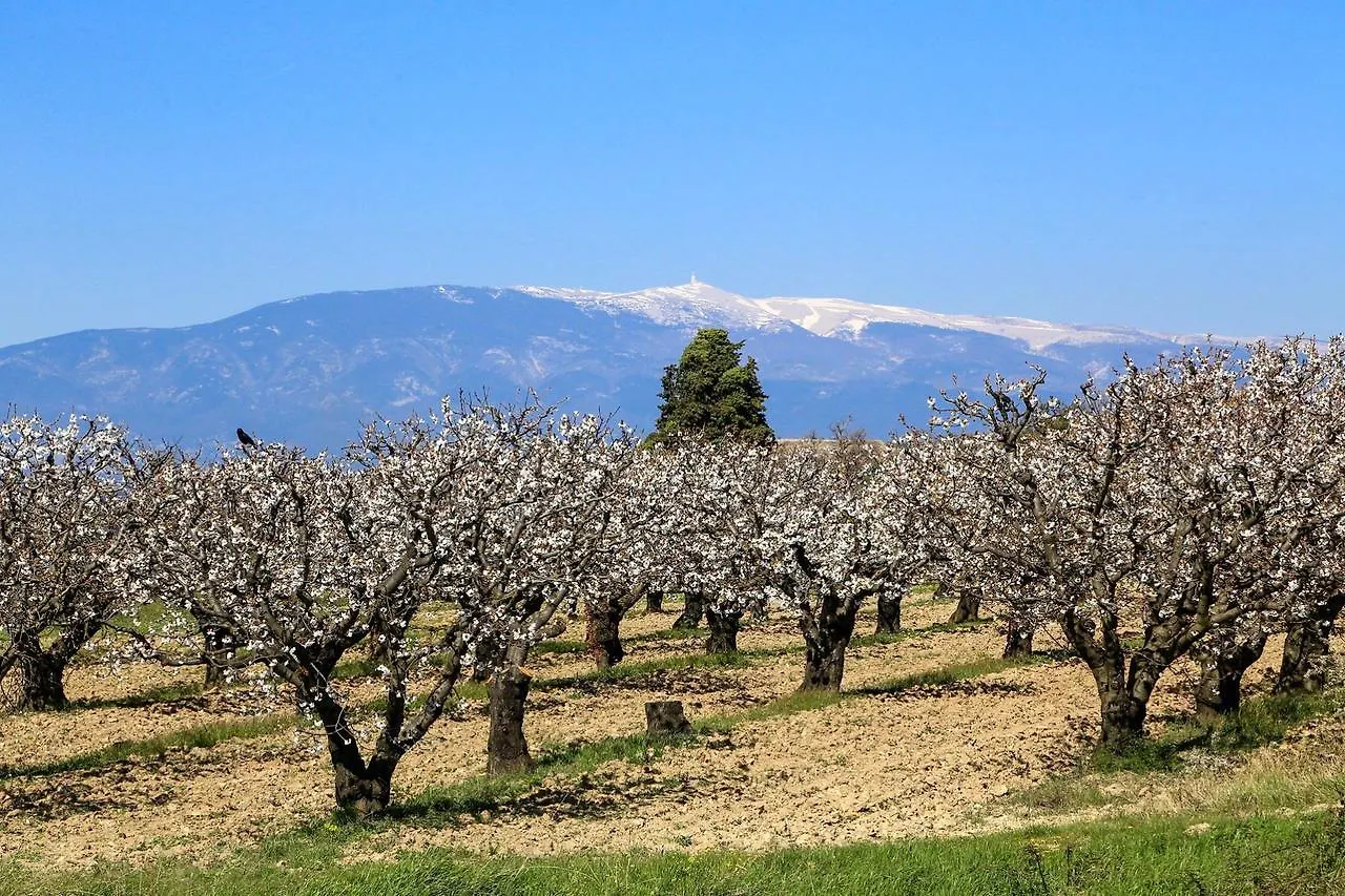 Bed & Breakfast Une Sieste En Luberon Bonnieux Frankrijk